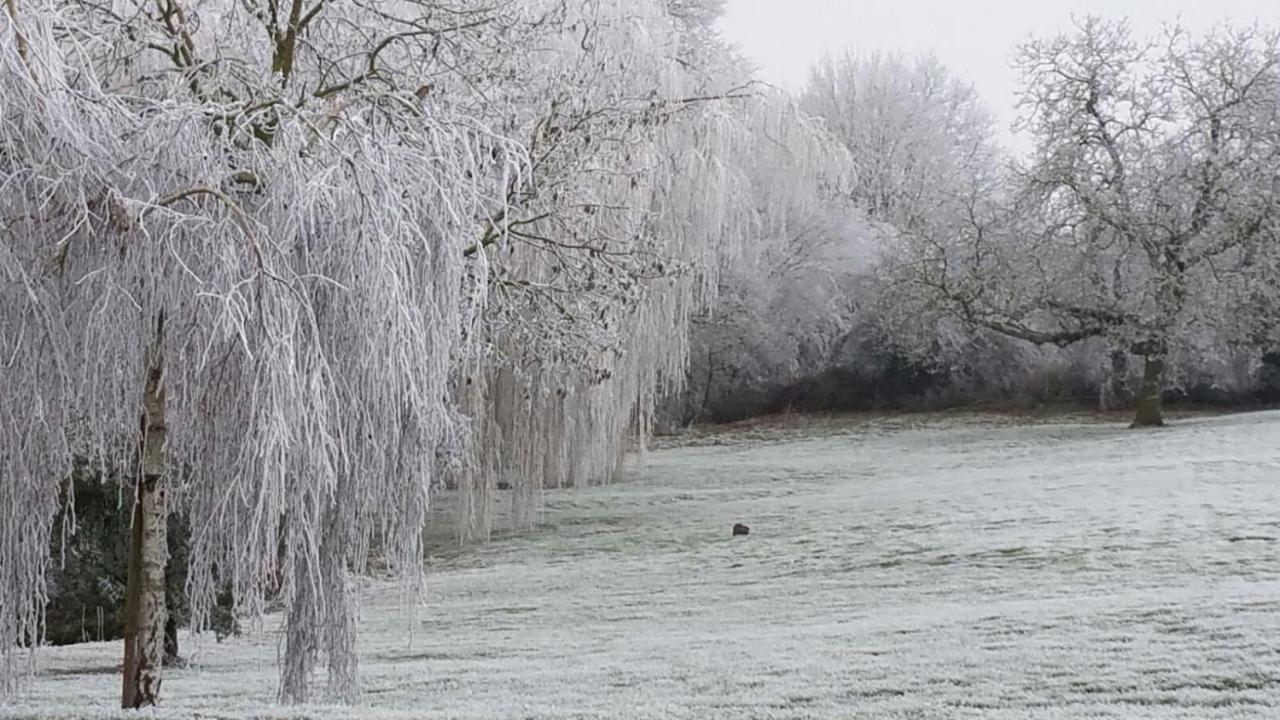 La Minaudiere Nueil-sous-les-Aubiers Exteriör bild